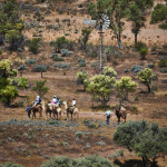 Flinders Ranges October 2015