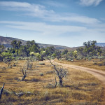 Flinders Ranges October 2015